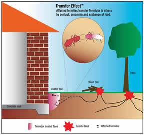 FAQ | Lawlor's Pest Control Adelaide